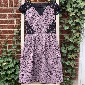 Adrianna Papell Dress.  Absolutely Stunning!!!